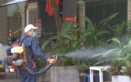 Nguy cơ bùng phát sốt xuất huyết vì không hợp tác phòng dịch