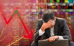 Nhóm cổ phiếu Vingroup giảm sâu khiến VN-Index lao dốc hai phiên
