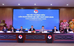 Đại hội Thường niên LĐBĐ Việt Nam lần thứ 11 khóa IX