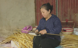 Vốn vay ưu đãi giải quyết việc làm cho người lao động