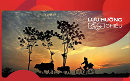 Đông về, ngơ ngẩn nhớ quê hương