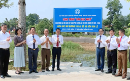 Triển khai thực hiện nghị quyết gắn với thực tế cuộc sống | Hướng tới Đại hội Đảng | 19/12/2025