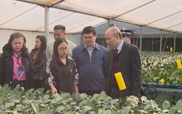 Hội Nhà báo Thành phố tổ chức đi thực tế địa phương