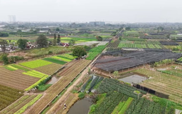 Tăng tốc GPMB tại khu công nghệ cao sinh học Hà Nội