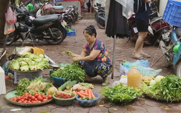 Hà Nội sẽ xóa 100% chợ cóc, điểm kinh doanh tự phát