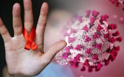 Năm 2025: Hà Nội phát hiện gần 340 ca nhiễm HIV mới
