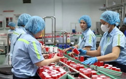 Người lao động được giảm thuế từ năm 2026