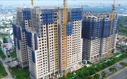 Phân khúc căn hộ tiếp tục dẫn dắt thị trường BĐS 2026
