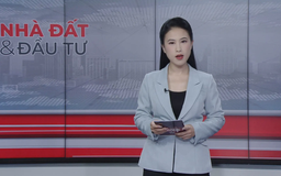 Bản tin Nhà đất và đầu tư | 29/12/2025