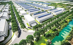 Bất động sản khu công nghiệp tăng trưởng mạnh