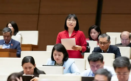Đại biểu Quốc hội: Nhiều hộ dân vùng sâu, vùng xa chưa có điện