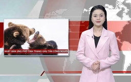 Nhật Bản ứng phó tình trạng gấu tấn công người | Nhìn ra thế giới | 03/12/2025
