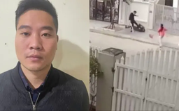 Đối tượng thứ hai vụ hành hung ở Geleximco ra trình diện