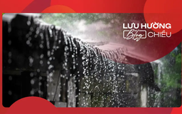 Đêm nghe tiếng mưa rơi