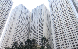 Chung cư chưa sổ hồng nhưng giá vẫn tăng