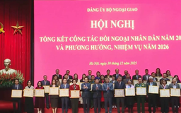 Đối ngoại nhân dân là 'vũ khí mềm' phát triển đất nước