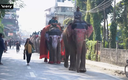 Nepal khai mạc Lễ hội Voi Chitwan lần thứ 19