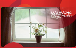Tháng 12 bên khung cửa sổ