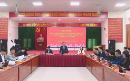Giám sát thực hiện các nhiệm vụ trọng tâm, cấp bách
