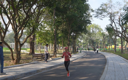 Hít thở trong lòng đô thị