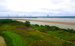 Bãi đá sông Hồng - Điểm du lịch thú vị | Hà Nội đến để yêu | 04/12/2025