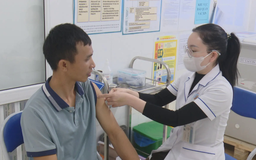 Hà Nội không để xảy ra ca tử vong do bệnh dại