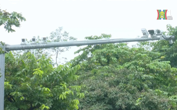 Ứng dụng trí tuệ nhân tạo, nâng cao hiệu quả quản lý | Chuyện đô thị | 06/12/2025