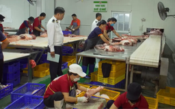 Hà Nội tăng cường quản lý giết mổ động vật | Phóng sự | 27/11/2025
