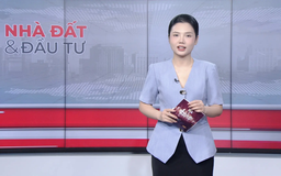Bản tin Nhà đất và đầu tư | 05/12/2025