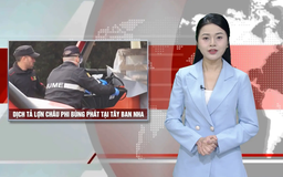 Dịch tả lợn châu Phi bùng phát tại Tây Ban Nha | Nhìn ra thế giới | 05/12/2025