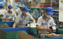 Hơn 980 đề tài tham gia Hội thi Sáng tạo Kỹ thuật Hà Nội