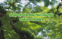 Hà Nội thí điểm vùng phát thải thấp giảm ô nhiễm đô thị | Phóng sự | 06/12/2025