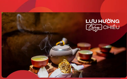 Tách trà nóng chiều nay