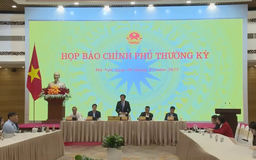 Đồng loạt triển khai giải pháp phục hồi sau thiên tai