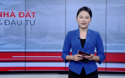 Bản tin Nhà đất và đầu tư | 06/12/2025