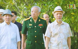 Bóng núi Ba Tơ | Phim tài liệu | 07/12/2025