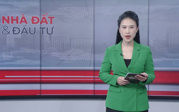 Bản tin Nhà đất và đầu tư | 07/12/2025