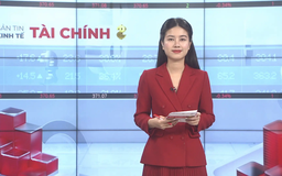 Bản tin Kinh tế Tài chính | 07/12/2025