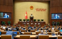 Đề xuất mở rộng cơ chế đặc thù gỡ vướng đất đai