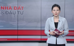 Bản tin Nhà đất và đầu tư | 08/12/2025