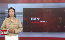 Bản tin 141 | 08/12/2025