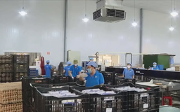 Mỗi tháng có hơn 25.000 doanh nghiệp thành lập mới