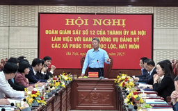 Khẳng định hiệu quả mô hình chính quyền hai cấp