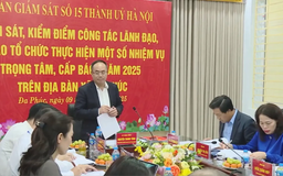 Đoàn Giám sát số 15 làm việc tại xã Trung Giã và Đa Phúc