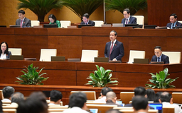 70% học sinh có hành vi bạo lực đều có hoàn cảnh đặc biệt