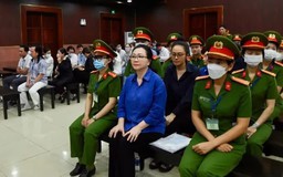 Bà Trương Mỹ Lan làm việc với công ty nước ngoài