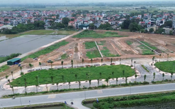 Khu tái định cư Tam Hưng chưa có hộ dân nào ở