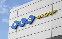 Loạt công ty FLC họp đại hội đồng cổ đông bất thường