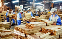 Gần 100 DN xuất khẩu gỗ sang Mỹ bị điều tra kép