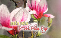 Biến hóa tranh thêu tay | Nghệ nhân Hà Nội | 22/06/2025